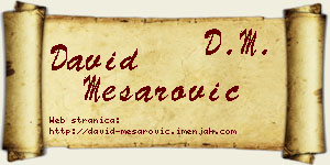David Mesarović vizit kartica